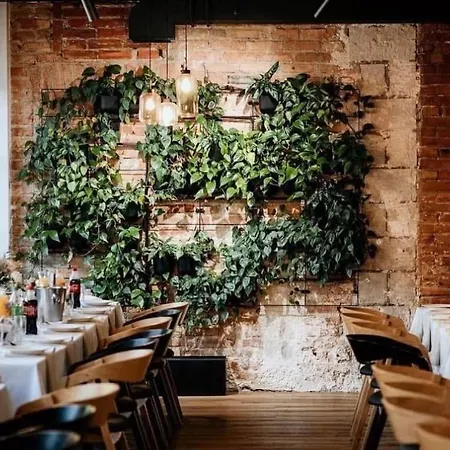 Lofft Цеханув